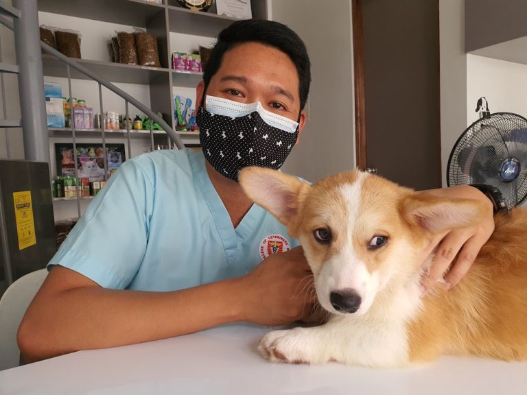 昆山宠物口碑排名：本地人推荐的TOP5